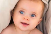 Bébé