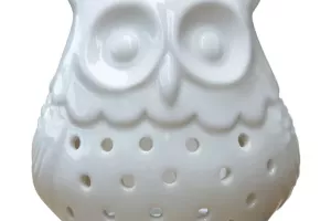Brule parfum hibou