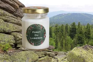 Bougie lutin Foret de Lubéron