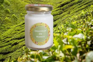 Bougie lutin Douceur de Nancy