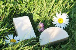 Hitton lait d anesse nature