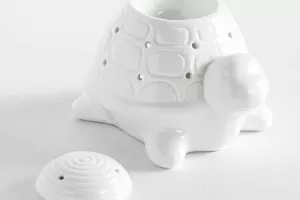 Brule parfum Franklin tortue