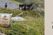 donkey shampoing cheveux secs