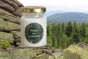 Bougie lutin Foret de Lubéron