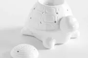 Brule parfum Franklin tortue