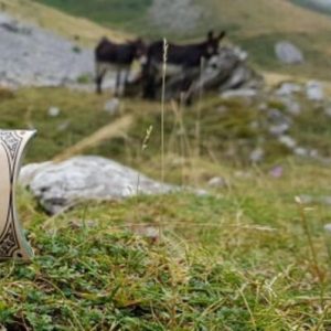 donkey mini savon aloe vera the vert