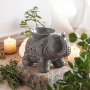 brule parfum éléphant gris