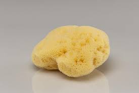 Jolis baumes eponge naturelle