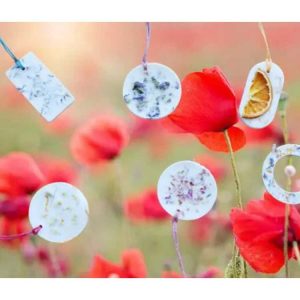 Galet de cire lutin Roseraie de Lyon