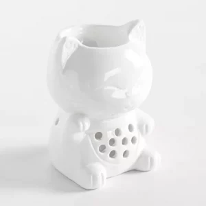 Brule parfum tommy le chat